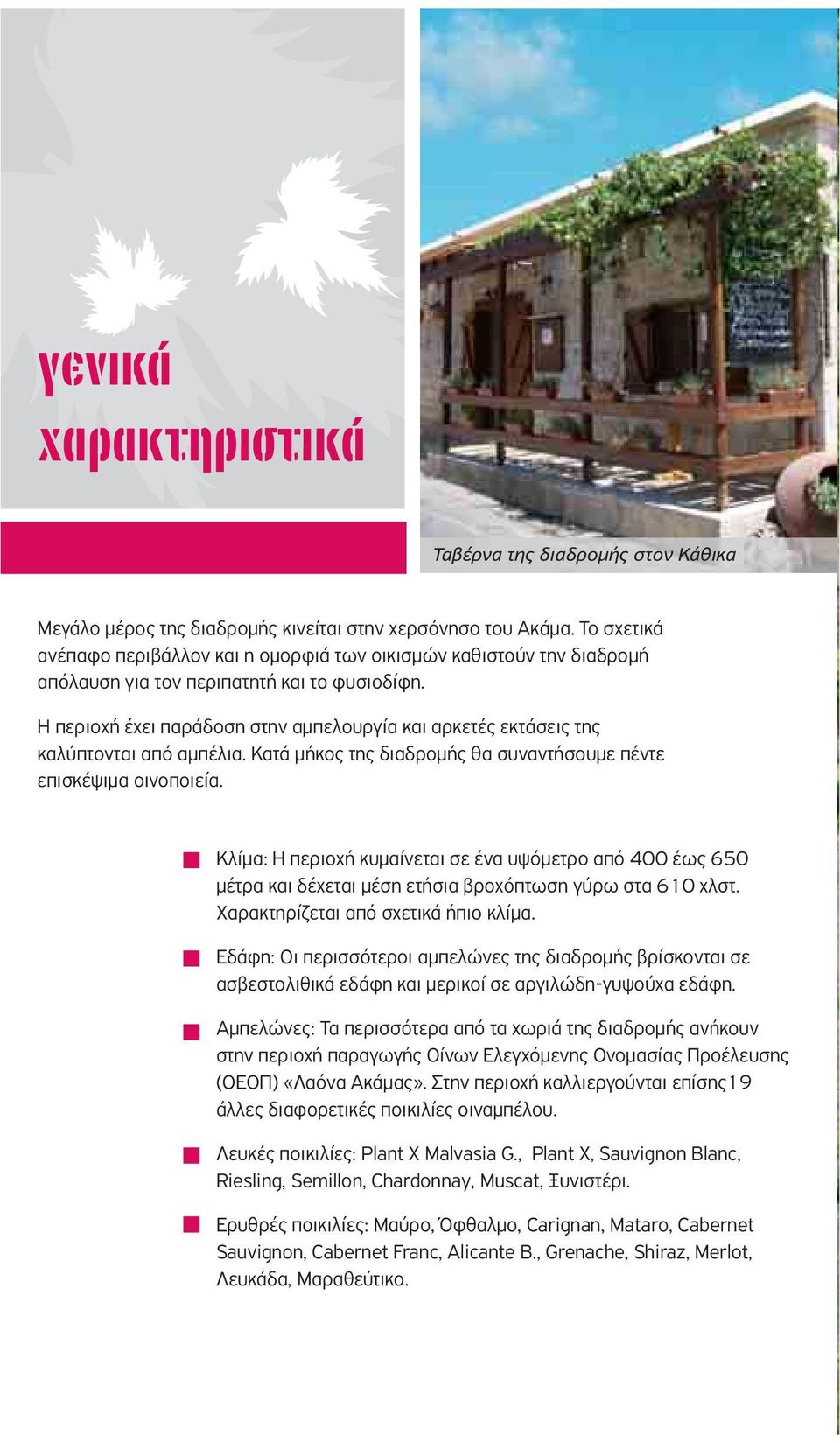 Η περιοχή έχει παράδοση στην αμπελουργία και αρκετές εκτάσεις της καλύπτονται από αμπέλια. Κατά μήκος της διαδρομής θα συναντήσουμε πέντε επισκέψιμα οινοποιεία.