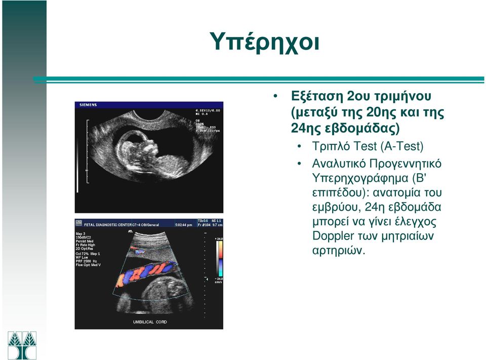 Υπερηχογράφηµα (Β' επιπέδου): ανατοµία του εµβρύου, 24η