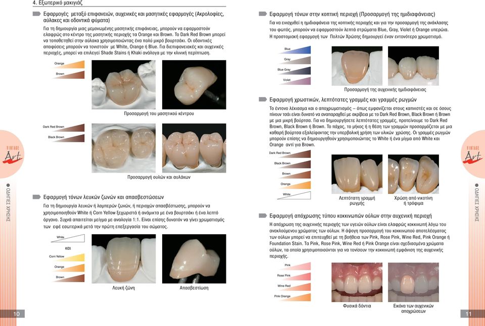 Οι οδοντικές αποφύσεις µπορούν να τονιστούν µε White, Orange ή Blue. Για διεπιφανειακές και αυχενικές περιοχές, µπορεί να επιλεγεί Shade Stains ή Khaki ανάλογα µε την κλινική περίπτωση.