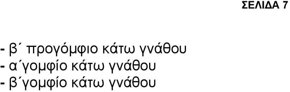 κάτω γνάθου - β