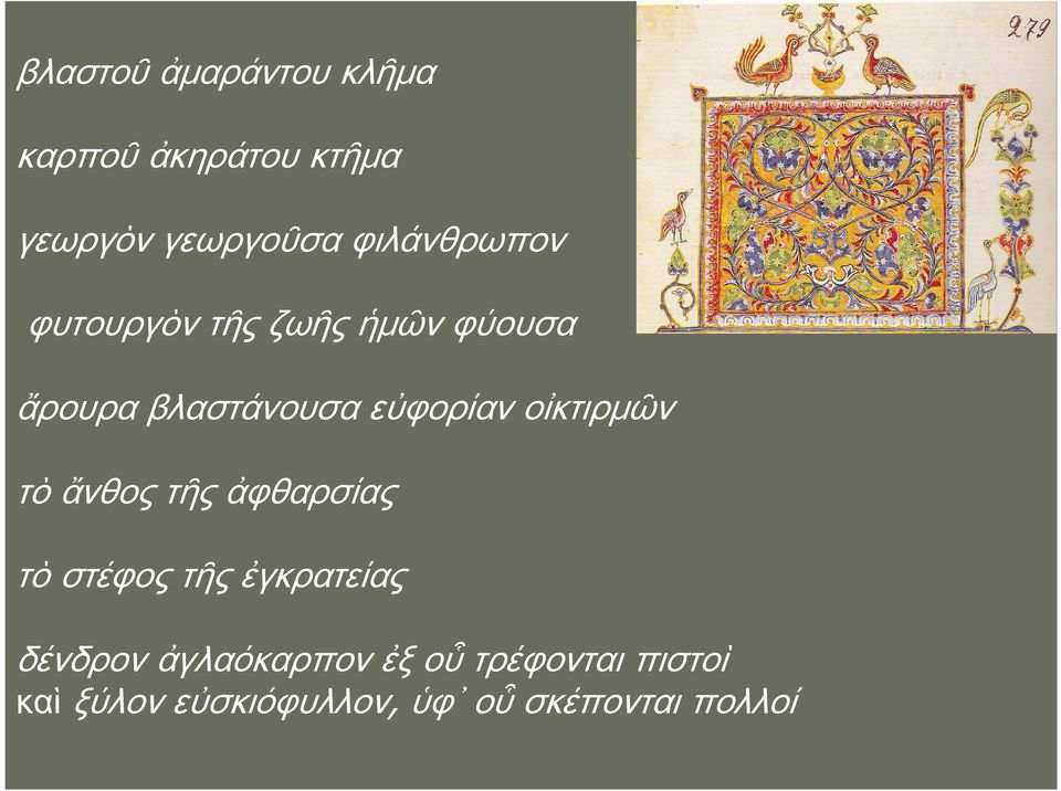 οἰκτιρμῶν τὸ ἄνθος τῆς ἀφθαρσίας τὸ στέφος τῆς ἐγκρατείας δένδρον