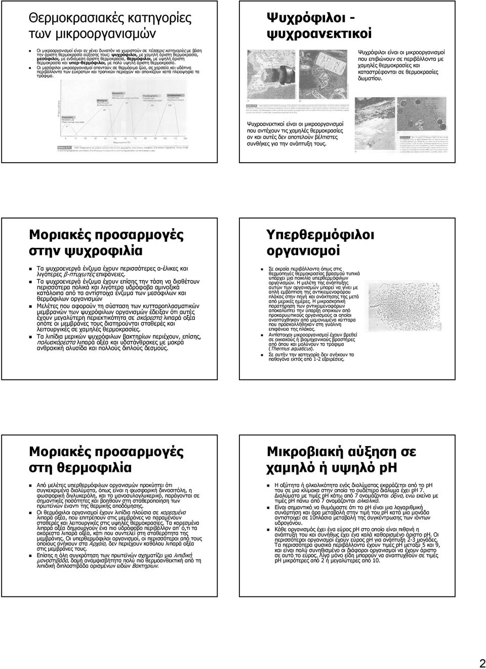 Οι µεσόφιλοι µικροοργανισµοί απαντούν σε θερµόαιµα ζώα, σε χερσαία και υδάτινα περιβάλλοντα των εύκρατων και τροπικών περιοχών και αποικίζουν κατά πλειοψηφία τα τρόφιµα.