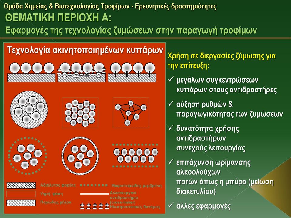 δυνατότητα χρήσης αντιδραστήρων συνεχούς λειτουργίας Αδιάλυτος φορέας Υγρή φάση Πορώδης μήτρα Μικροπορώδης μεμβράνη Διλειτουργικό