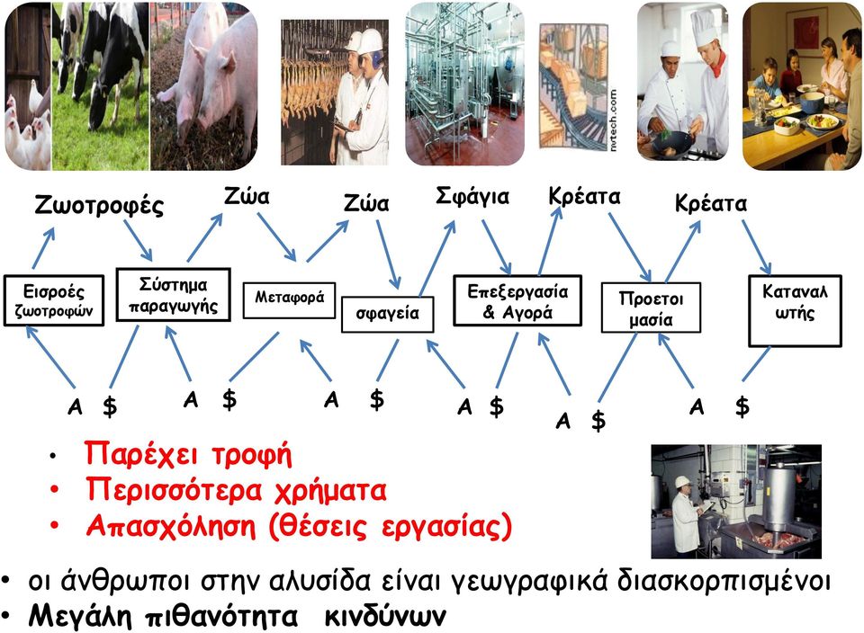 $ Α Α $ Παρέχει τροφή Περισσότερα χρήματα Απασχόληση (θέσεις εργασίας) $ οι