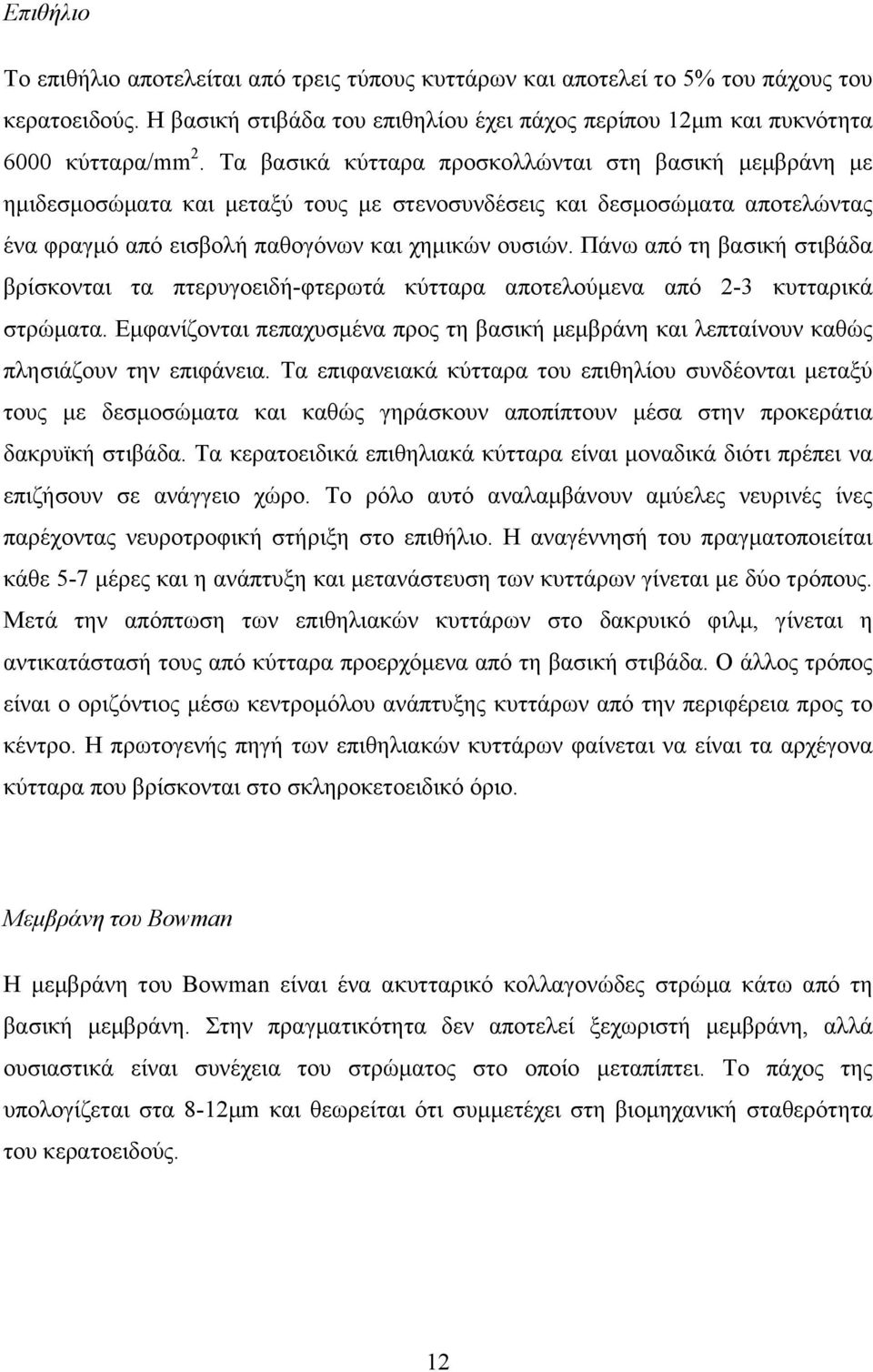 Πάνω από τη βασική στιβάδα βρίσκονται τα πτερυγοειδή-φτερωτά κύτταρα αποτελούµενα από 2-3 κυτταρικά στρώµατα.