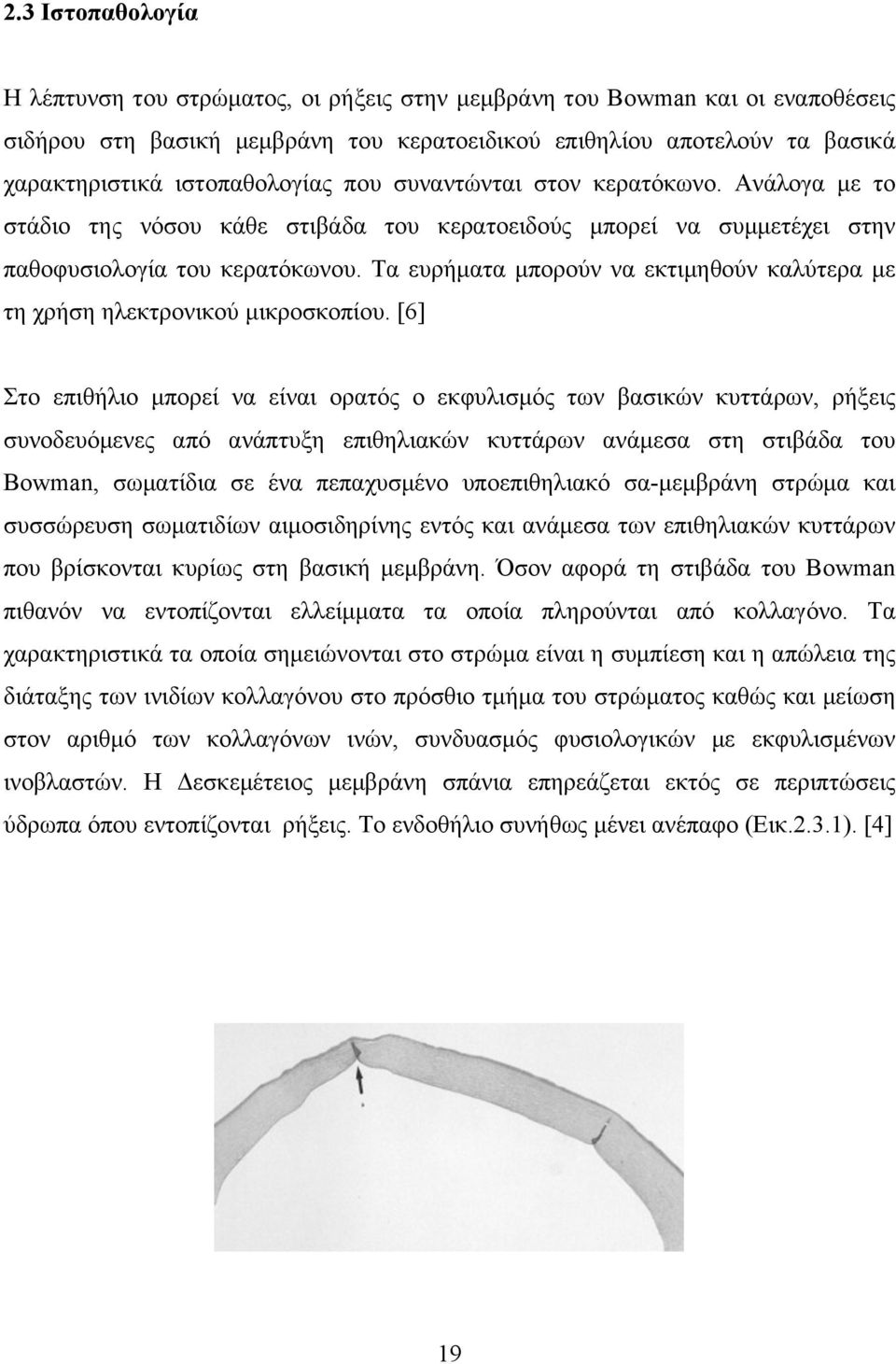 Τα ευρήµατα µπορούν να εκτιµηθούν καλύτερα µε τη χρήση ηλεκτρονικού µικροσκοπίου.