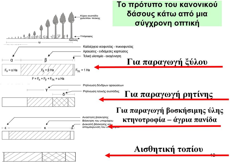 γή ρη ης F = F + F + F = u Ha α β ΤΚ γ δ Ρητίνευση δένδρων αραιώσεων Ρητίνευση τελικής συστάδας Για παραγωγή ρητίνης ε κ λ Αναστολή βόσκησης