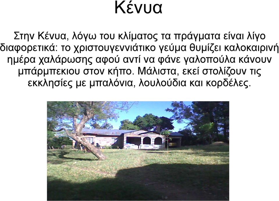 χαλάρωσης αφού αντί να φάνε γαλοπούλα κάνουν μπάρμπεκιου στον κήπο.