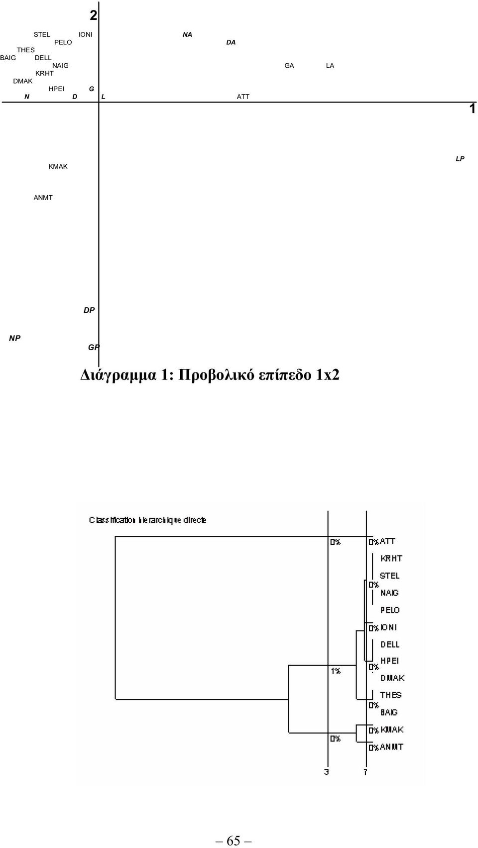 ANMT DP NP GP ιάγραµµα 1: Προβολικό