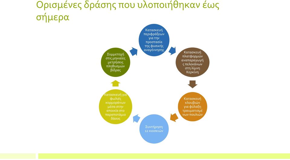 αναπαραγωγή ς πελεκάνων στη λίμνη Κερκίνη Κατασκευή για φωλιές κορμοράνων μέσα στην αποικία