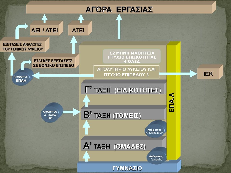 ΑΠΟΛΥΤΗΡΙΟ ΛΥΚΕΙΟΥ ΚΑΙ ΠΤΥΧΙΟ ΕΠΙΠΕΔΟΥ 3 Γ ΤΑΞΗ (ΕΙΔΙΚΟΤΗΤΕΣ) ΙΕΚ Απόφοιτος Α ΤΑΞΗΣ