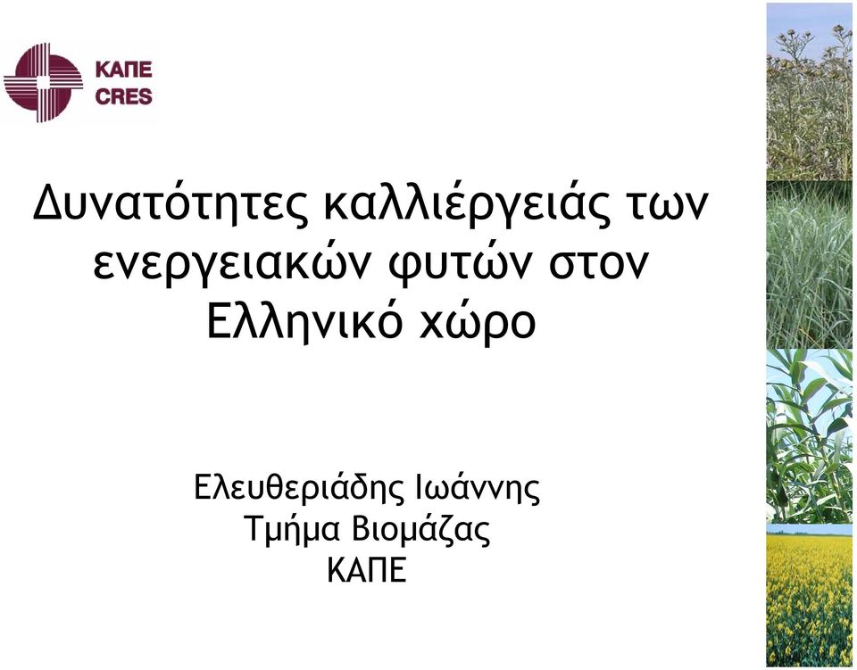 Ελληνικό χώρο Ελευθεριάδης