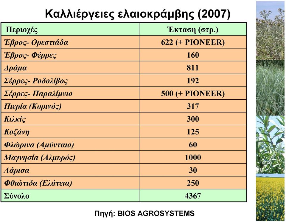 192 Σέρρες- Παραλίµνιο 500 (+ PIONEER) Πιερία (Κορινός) 317 Κιλκίς 300 Κοζάνη 125