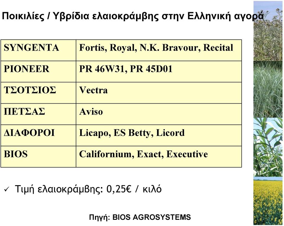 Bravour, Recital PR 46W31, PR 45D01 Vectra Aviso Licapo, ES Betty,