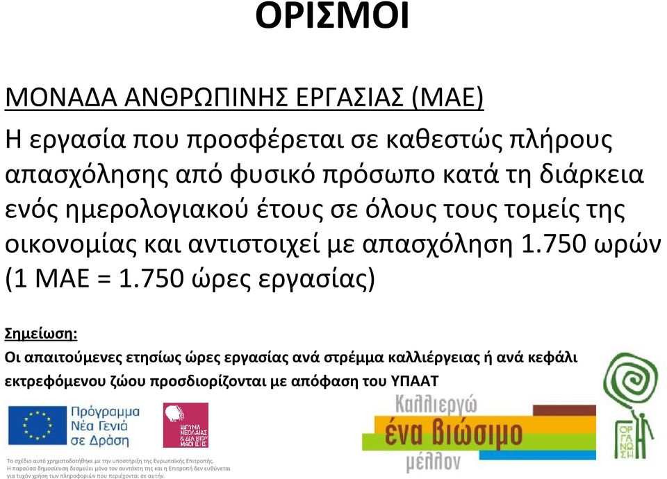 οικονομίαςκαιαντιστοιχείμεαπασχόληση 1.750 ωρών (1 ΜΑΕ = 1.