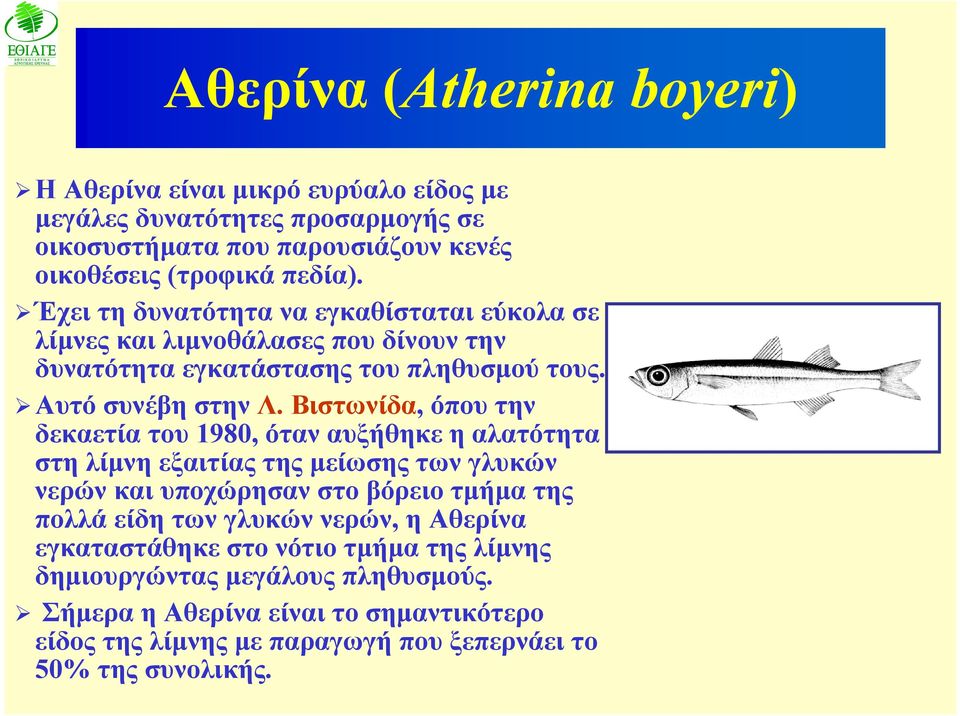 Βιστωνίδα, όπου την δεκαετία του 1980, όταν αυξήθηκε η αλατότητα στη λίμνη εξαιτίας της μείωσης των γλυκών νερών και υποχώρησαν στο βόρειο τμήμα της πολλά είδη των