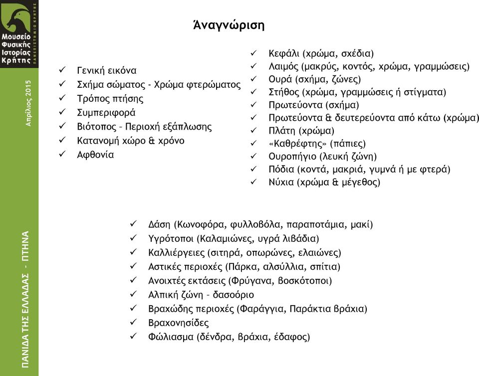 ζώνη) Πόδια (κοντά, μακριά, γυμνά ή με φτερά) Νύχια (χρώμα & μέγεθος) Δάση (Κωνοφόρα, φυλλοβόλα, παραποτάμια, μακί) Υγρότοποι (Καλαμιώνες, υγρά λιβάδια) Καλλιέργειες (σιτηρά, οπωρώνες,