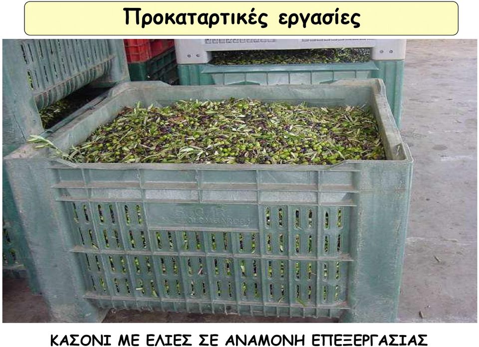 ΜΕ ΕΛΙΕΣ ΣΕ