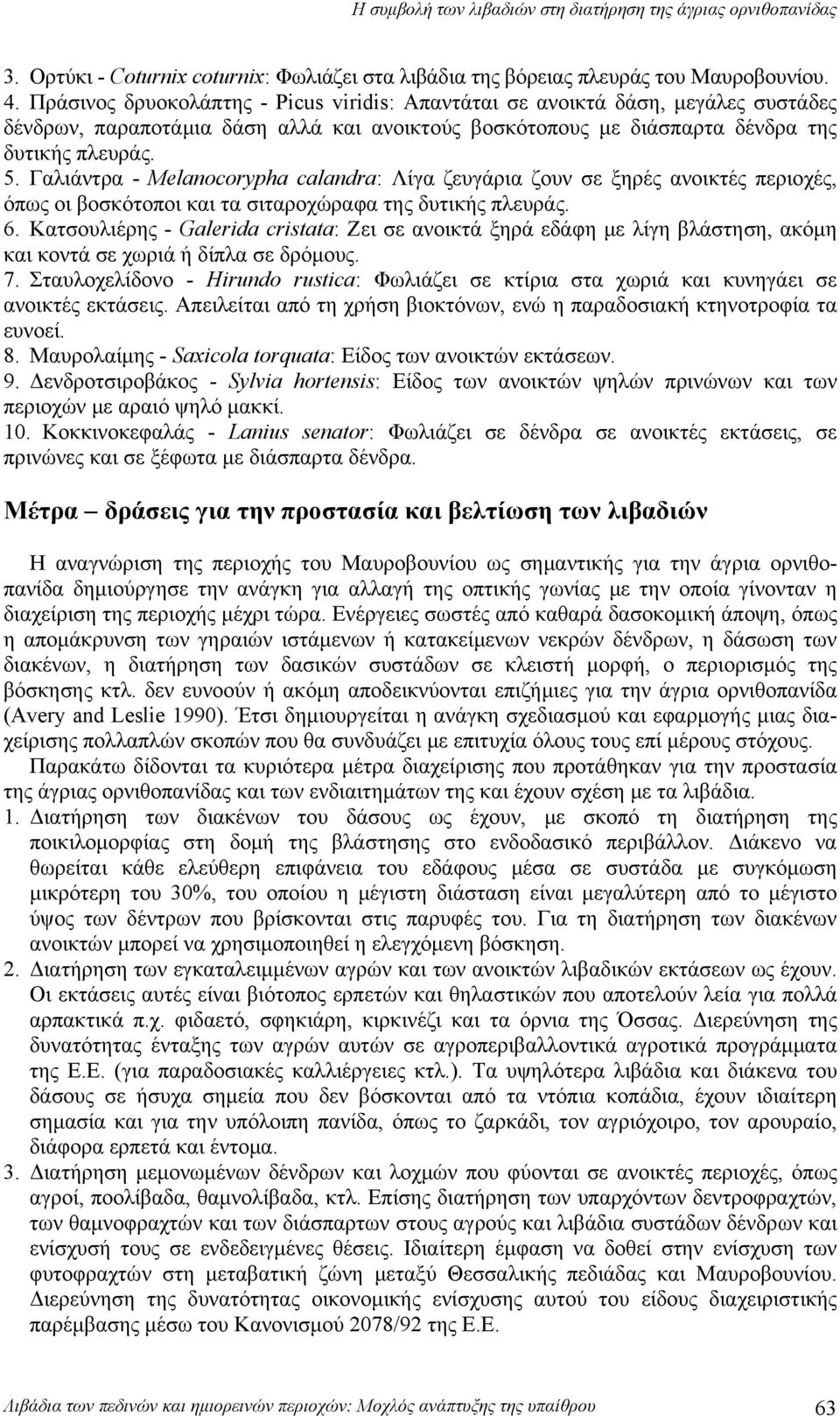 Γαλιάντρα - Melanocorypha calandra: Λίγα ζευγάρια ζουν σε ξηρές ανοικτές περιοχές, όπως οι βοσκότοποι και τα σιταροχώραφα της δυτικής πλευράς. 6.