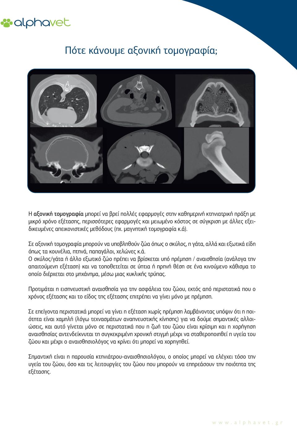 Σε αξονική τοµογραφία µπορούν να υποβληθούν ζώα όπως ο σκύλος, η γάτ