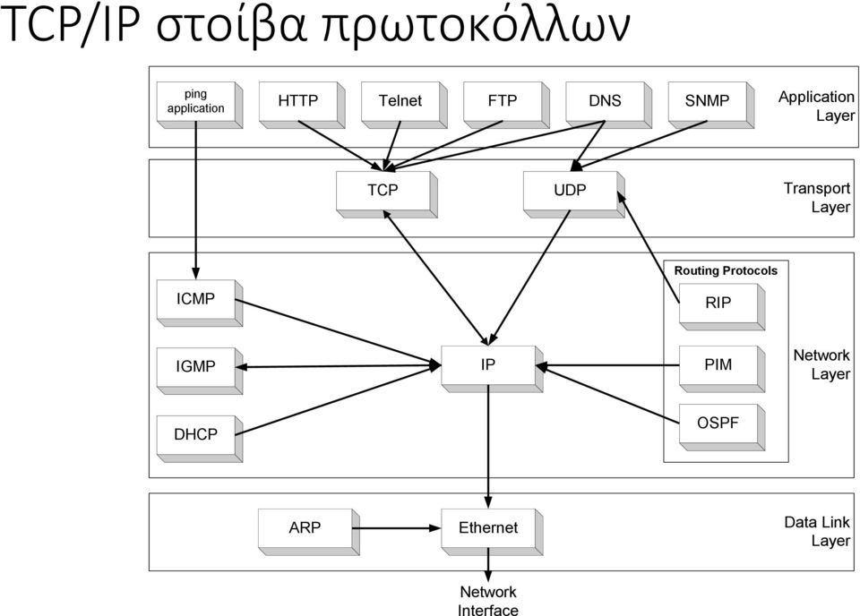 Routing Protocols ICMP RIP IGMP IP PIM Network Layer