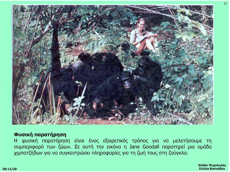 ζώων. Σε αυτή την εικόνα η Jane Goodall παρατηρεί µια οµάδα