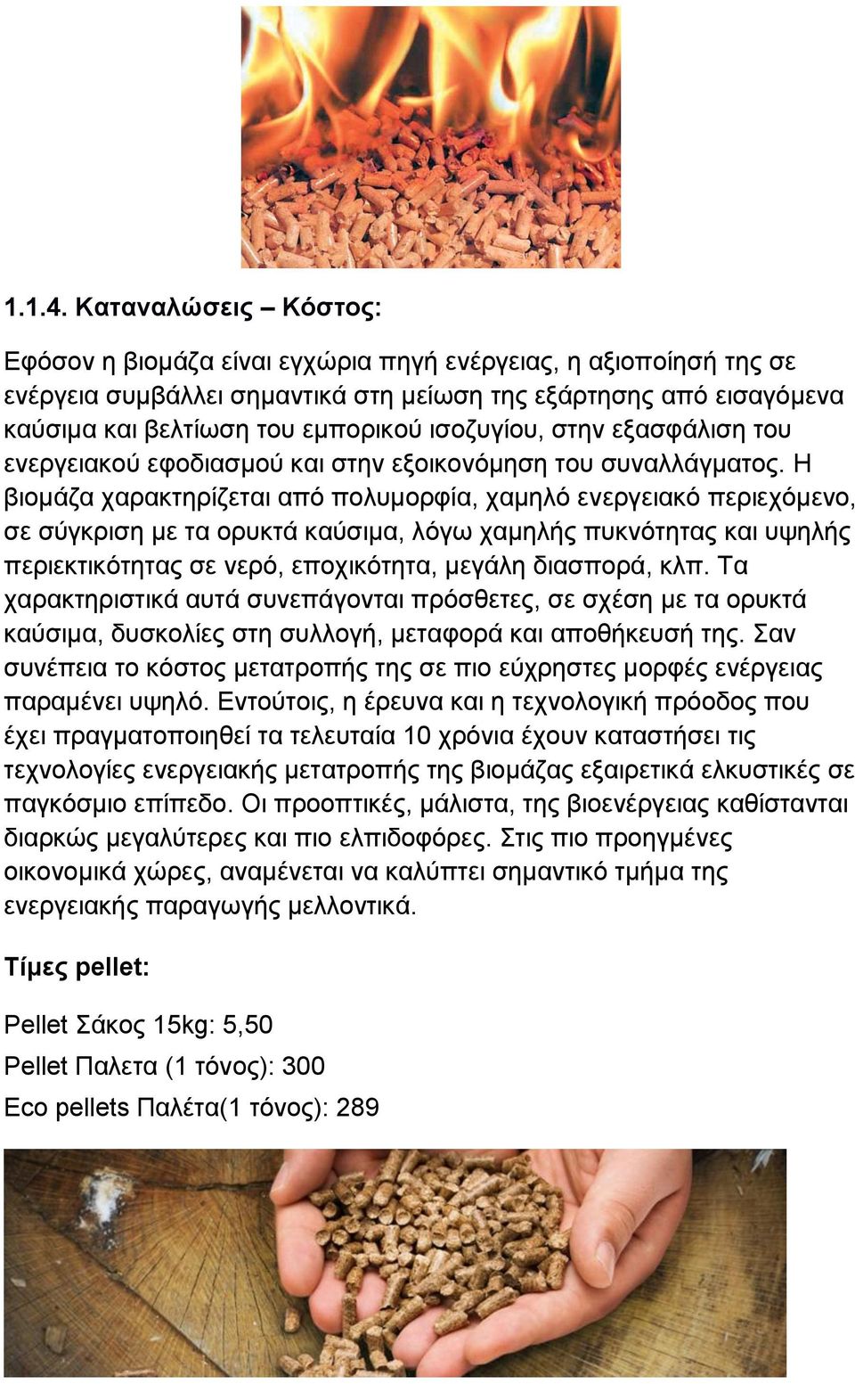 ηζνδπγίνπ, ζηελ εμαζθάιηζε ηνπ ελεξγεηαθνχ εθνδηαζκνχ θαη ζηελ εμνηθνλφκεζε ηνπ ζπλαιιάγκαηνο.