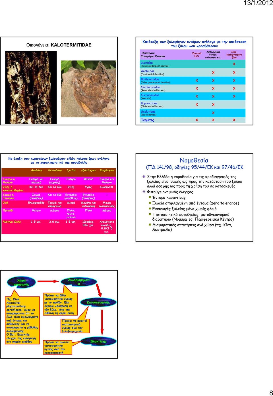 (Weevils) X X X Buprestidae (Flat-headed borers) X X Scolytidae (Bark beetles) X Τερμίτες X X X Κατάταξη των κυριοτέρων ξυλοφάγων ειδών κολεοπτέρων ανάλογα με τα χαρακτηριστικά της προσβολής Σκληρό ή