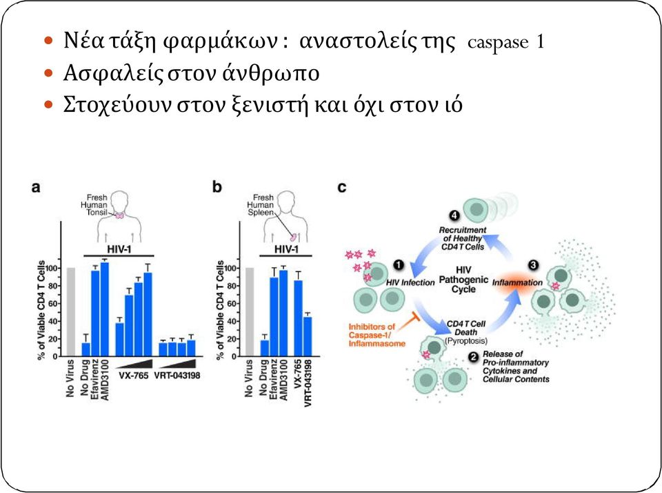 Ασφαλείς στον άνθρωπο