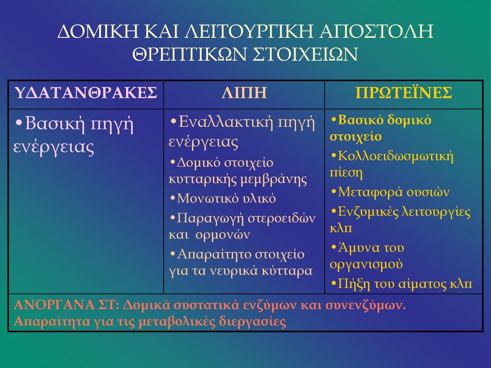 νευρικά κύτταρα Βασικό δομικό στοιχείο Κολλοειδωσμωτική πίεση Μεταφορά ουσιών Ενζυμικές λειτουργίες κλπ Άμυνα του