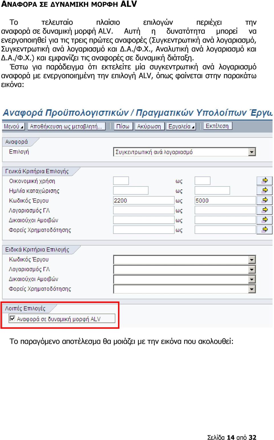 χ., Αναλυτική ανά λογαριασµό και.α./φ.χ.) και εµφανίζει τις αναφορές σε δυναµική διάταξη.