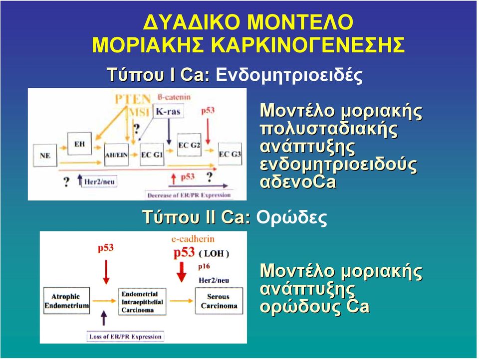 μοριακής πολυσταδιακής ανάπτυξης