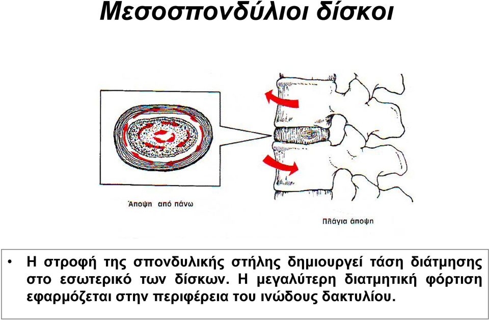 των δίσκων.