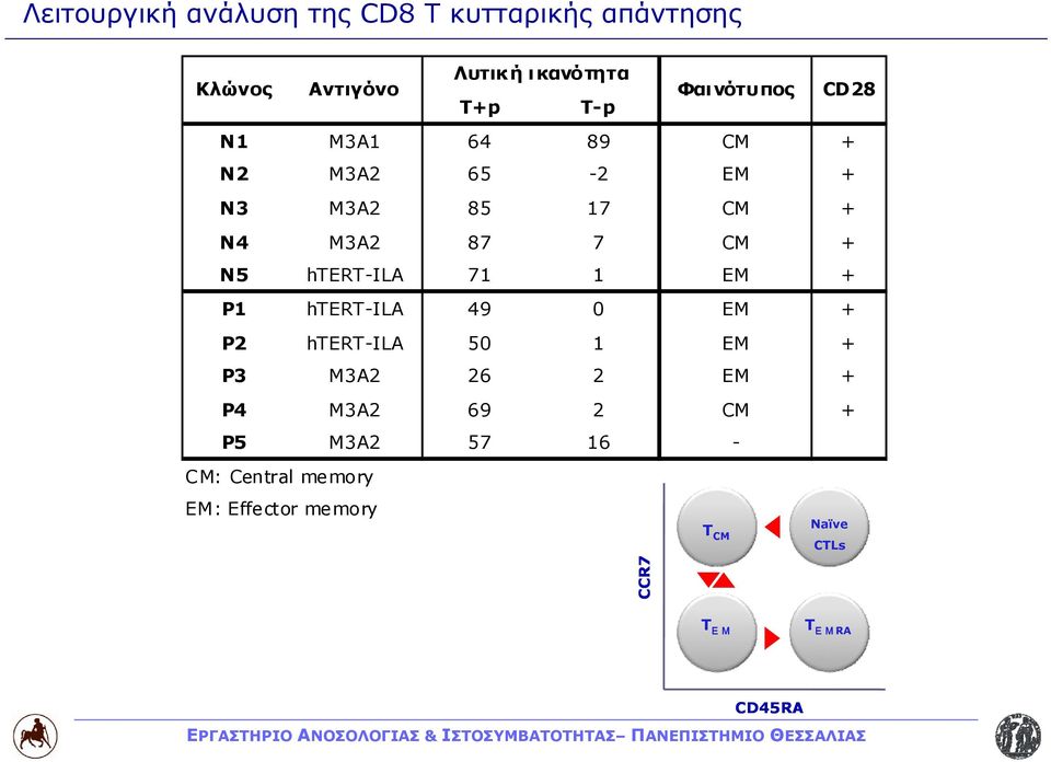 htert-ila 71 1 EM + P1 htert-ila 49 0 EM + P2 htert-ila 50 1 EM + P3 M3A2 26 2 EM + P4 M3A2 69