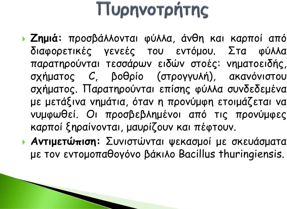 Παρατηρούνται επίσης φύλλα συνδεδεμένα με μετάξινα νημάτια, όταν η προνύμφη ετοιμάζεται να νυμφωθεί.