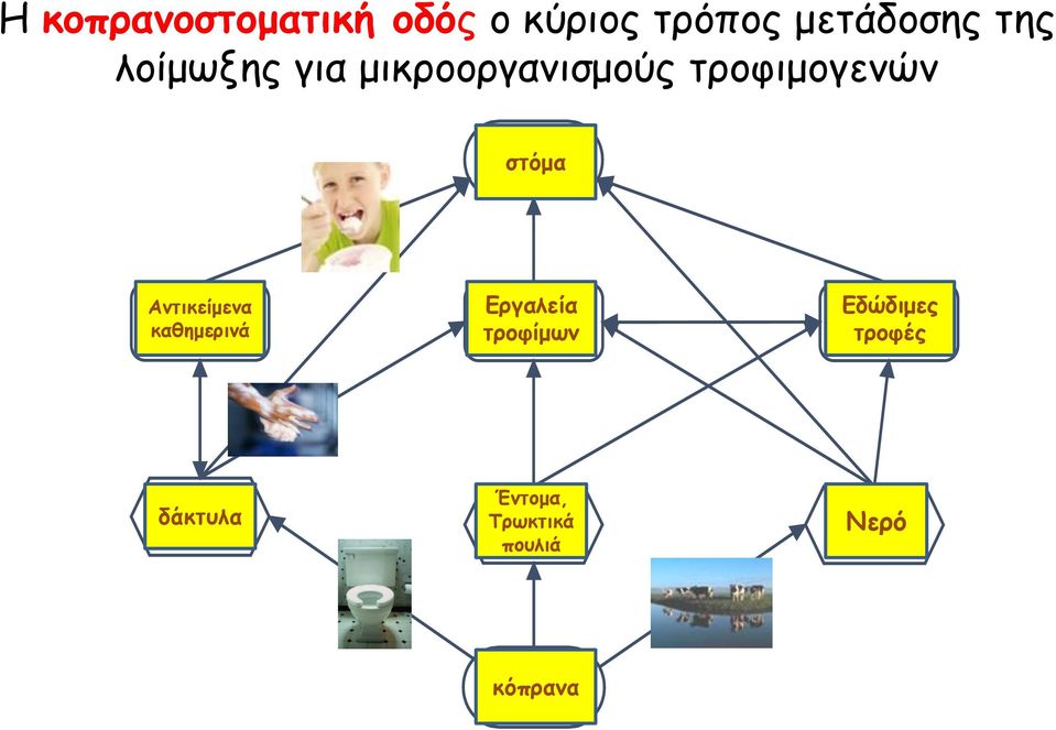 στόμα Αντικείμενα καθημερινά Εργαλεία τροφίμων