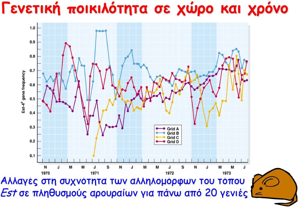 αλληλομόρφων του τόπου Est σε