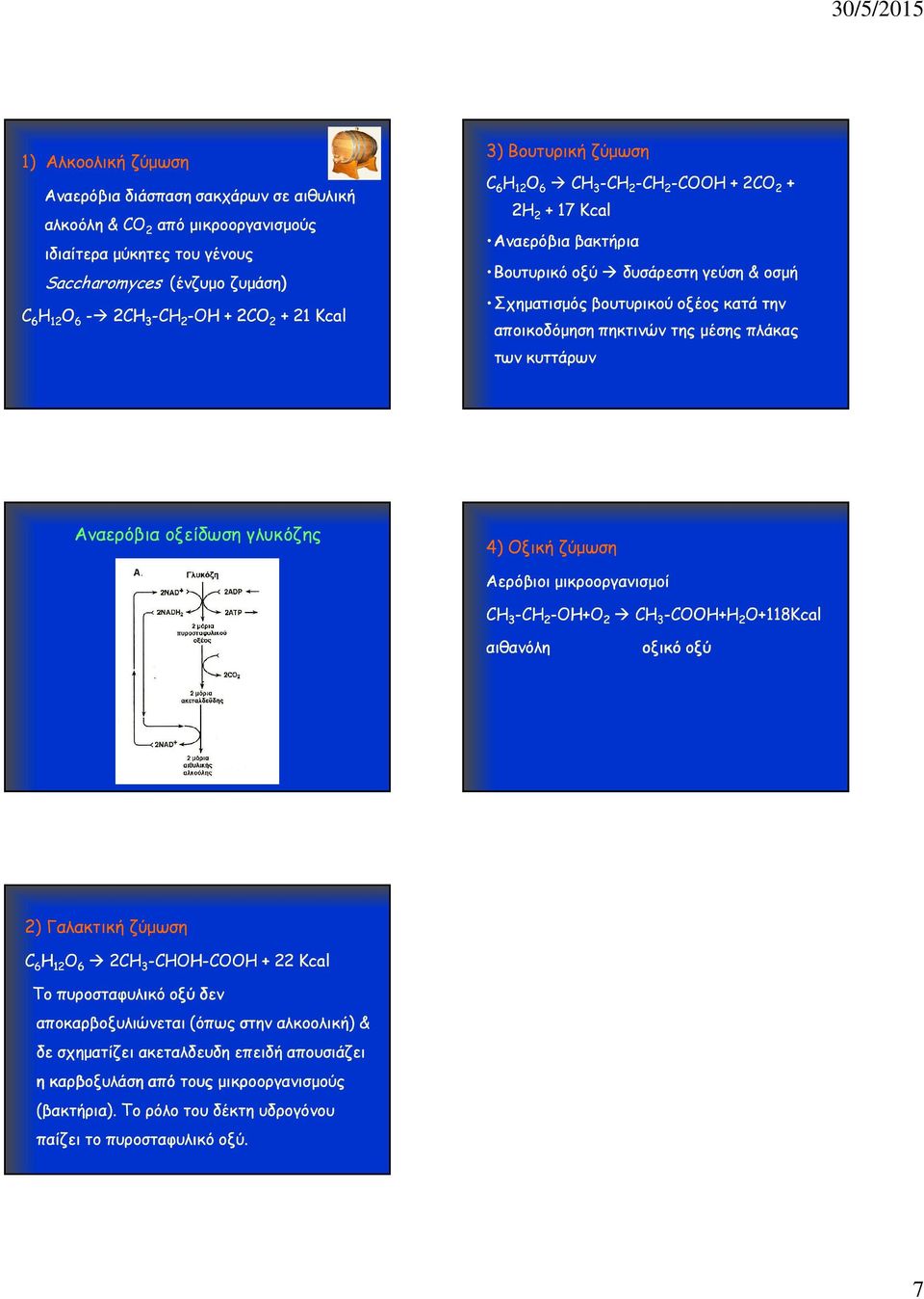 πηκτινών της µέσης πλάκας των κυττάρων Αναερόβια οξείδωση γλυκόζης 4) Οξική ζύµωση Αερόβιοι µικροοργανισµοί CH 3 -CH 2 -OH+O 2 CH 3 -COOH+H 2 O+118Kcal αιθανόλη οξικό οξύ 2) Γαλακτική ζύµωση C 6 H 12
