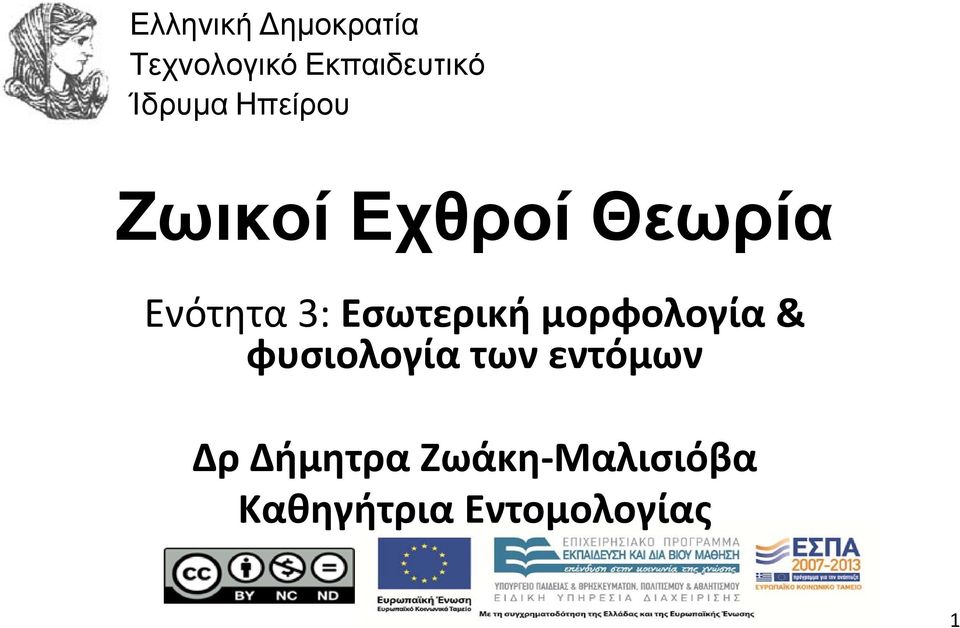 Εσωτερική μορφολογία & φυσιολογία των εντόμων