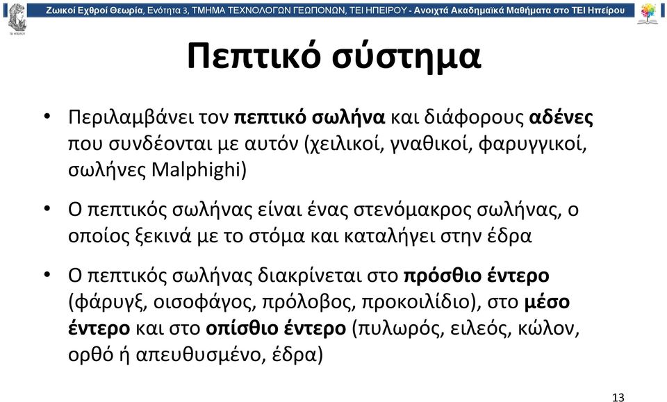 με το στόμα και καταλήγει στην έδρα Ο πεπτικός σωλήνας διακρίνεται στο πρόσθιο έντερο (φάρυγξ, οισοφάγος,