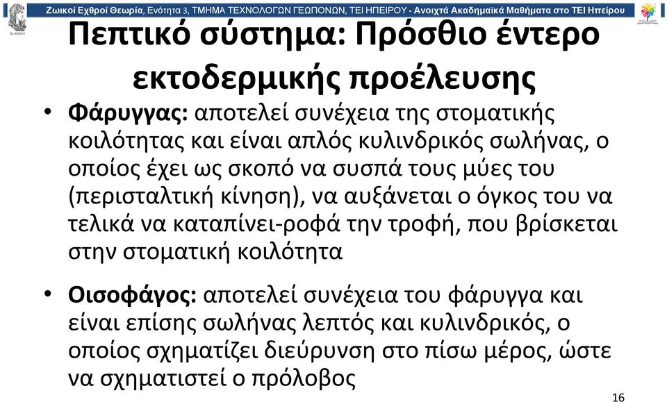 να τελικά να καταπίνει ροφά την τροφή, που βρίσκεται στην στοματική κοιλότητα Οισοφάγος: αποτελεί συνέχεια του φάρυγγα