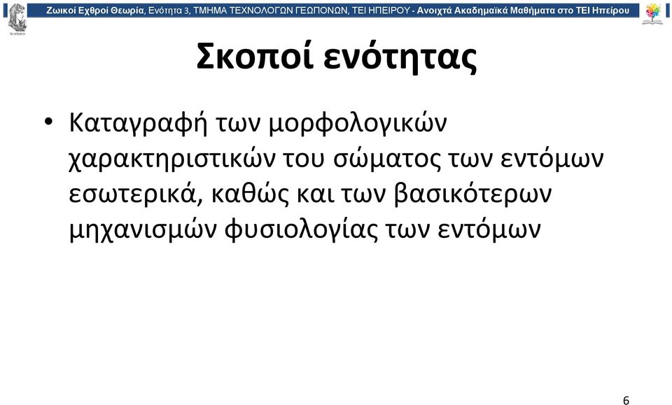 σώματος των εντόμων εσωτερικά, καθώς