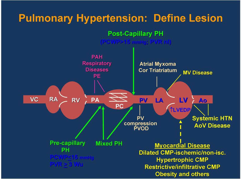 Ao Systemic HTN AoV Disease Pre-capillary PH PCWP<15 PVR > 3 Wu 15 mmhg Mixed PH Myocardial Disease