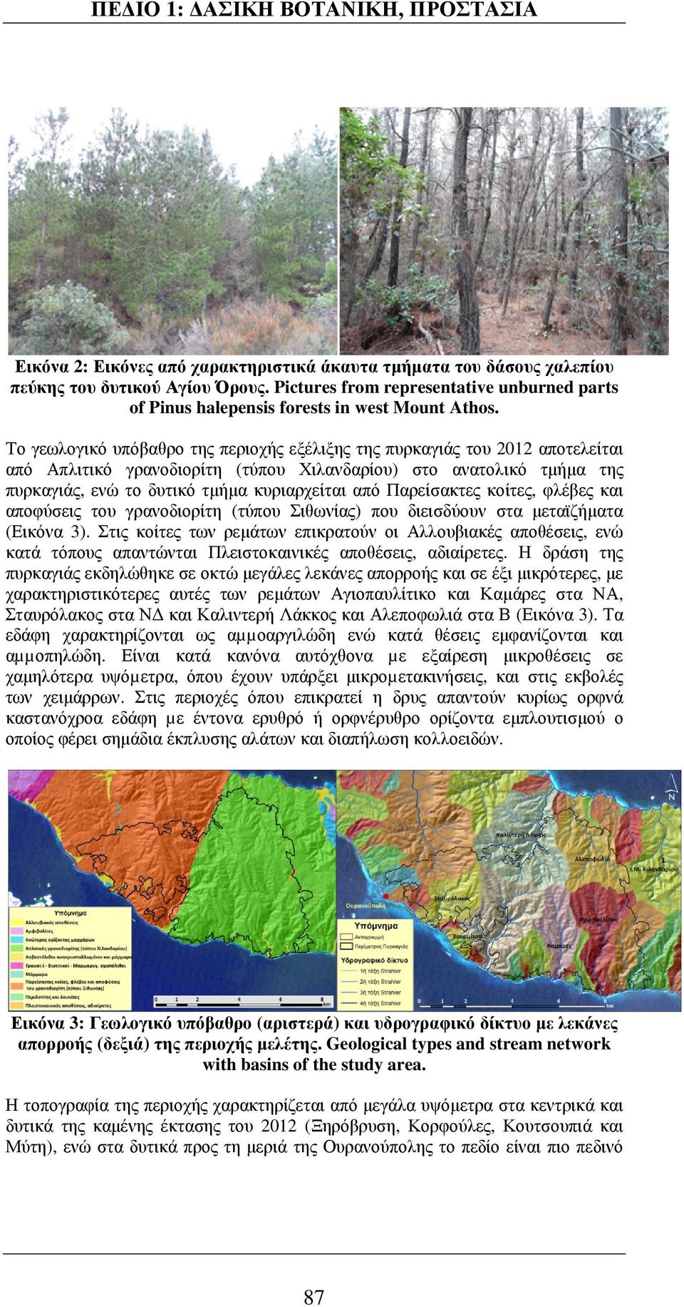 Το γεωλογικό υπόβαθρο της περιοχής εξέλιξης της πυρκαγιάς του 2012 αποτελείται από Απλιτικό γρανοδιορίτη (τύπου Χιλανδαρίου) στο ανατολικό τµήµα της πυρκαγιάς, ενώ το δυτικό τµήµα κυριαρχείται από