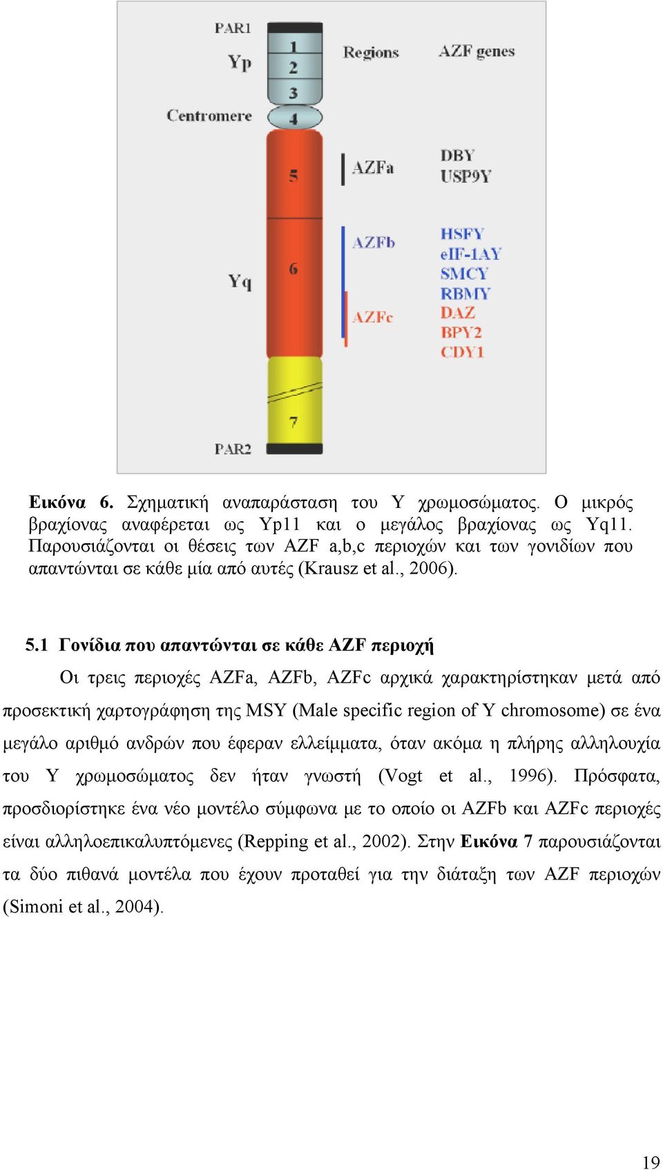 1 Γονίδια που απαντώνται σε κάθε AZF περιοχή Οι τρεις περιοχές AZFa, AZFb, AZFc αρχικά χαρακτηρίστηκαν μετά από προσεκτική χαρτογράφηση της MSY (Male specific region of Y chromosome) σε ένα μεγάλο