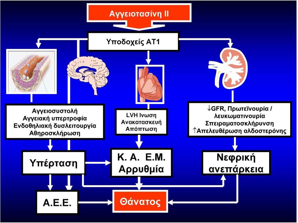 Απόπτωση GFR, Πρωτεϊνουρία / λευκωματινουρία Σπειραματοσκλήρυνση