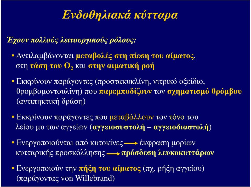 Εκκρίνουν παράγοντες που µεταβάλλουν τον τόνο του λείου µυ των αγγείων (αγγειοσυστολή αγγειοδιαστολή) Ενεργοποιούνταιαπόκυτοκίνες