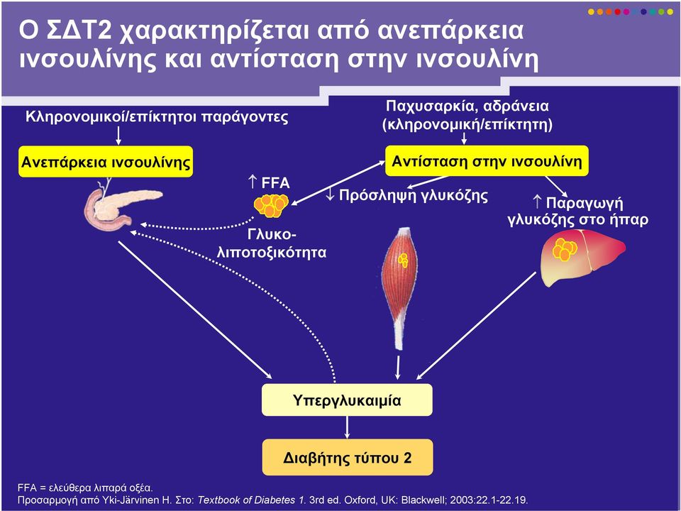 Αντίσταση στην ινσουλίνη Πρόσληψη γλυκόζης Παραγωγή γλυκόζης στο ήπαρ Υπεργλυκαιμία Διαβήτης τύπου 2 FFA =