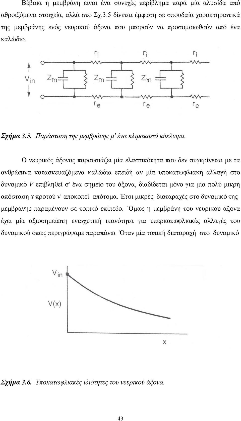 Ο νευρικός άξονας παρουσιάζει µία ελαστικότητα που δεν συγκρίνεται µε τα ανθρώπινα κατασκευαζόµενα καλώδια επειδή αν µία υποκατωφλιακή αλλαγή στο δυναµικό V επιβληθεί σ' ένα σηµείο του άξονα,