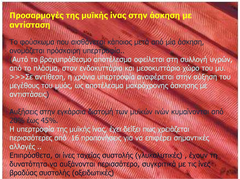 >>>Σε αντίθεση, η χρόνια υπερτροφία αναφέρεται στην αύξηση του µεγέθους του µυός, ως αποτέλεσµα µακρόχρονης άσκησης µε αντιστάσεις) Αυξήσεις στην εγκάρσια διατοµή των µυϊκών ινών